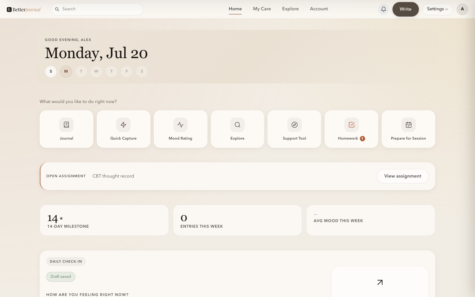 A client's Betterjournal dashboard on the web